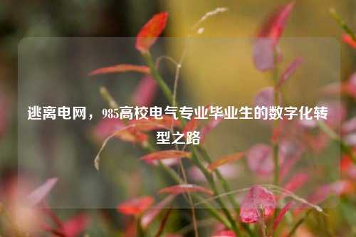 逃离电网，985高校电气专业毕业生的数字化转型之路