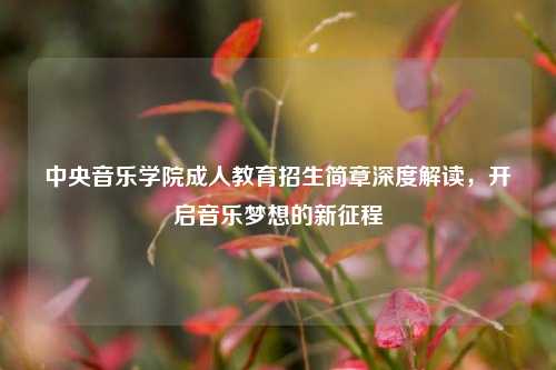 中央音乐学院成人教育招生简章深度解读，开启音乐梦想的新征程