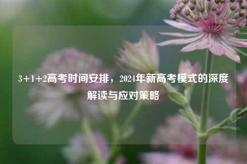 3+1+2高考时间安排，2024年新高考模式的深度解读与应对策略
