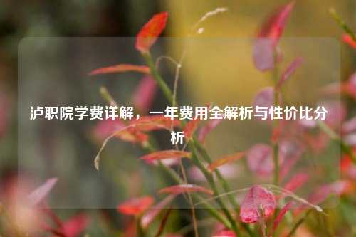 泸职院学费详解，一年费用全解析与性价比分析