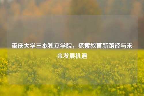 重庆大学三本独立学院，探索教育新路径与未来发展机遇