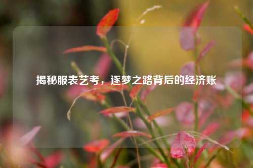 揭秘服表艺考，逐梦之路背后的经济账