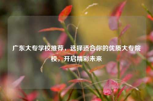 广东大专学校推荐，选择适合你的优质大专院校，开启精彩未来