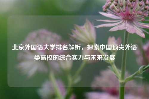 北京外国语大学排名解析，探索中国顶尖外语类高校的综合实力与未来发展