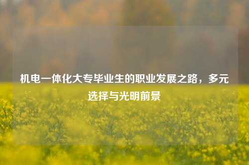 机电一体化大专毕业生的职业发展之路，多元选择与光明前景