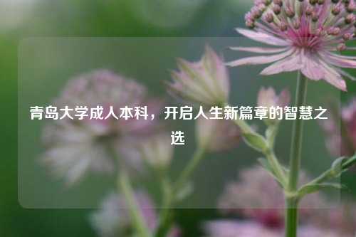 青岛大学成人本科，开启人生新篇章的智慧之选
