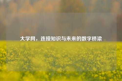 大学网，连接知识与未来的数字桥梁