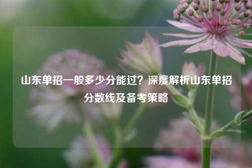 山东单招一般多少分能过？深度解析山东单招分数线及备考策略