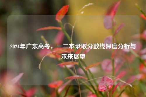 2024年广东高考，一二本录取分数线深度分析与未来展望