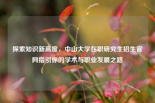 探索知识新高度，中山大学在职研究生招生官网指引你的学术与职业发展之路