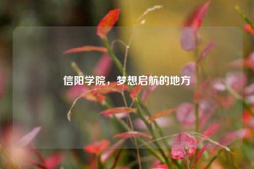 信阳学院，梦想启航的地方