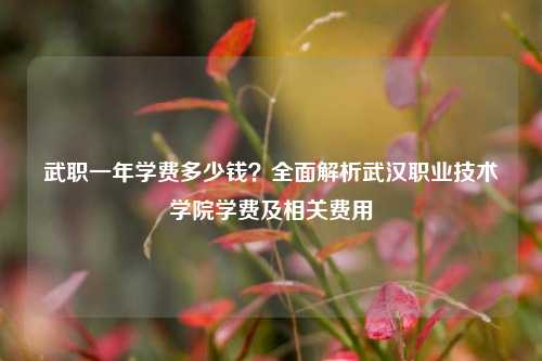 武职一年学费多少钱？全面解析武汉职业技术学院学费及相关费用