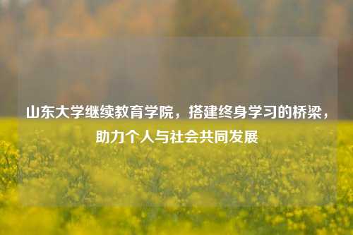 山东大学继续教育学院，搭建终身学习的桥梁，助力个人与社会共同发展