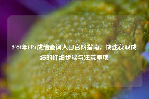2024年CPA成绩查询入口官网指南，快速获取成绩的详细步骤与注意事项