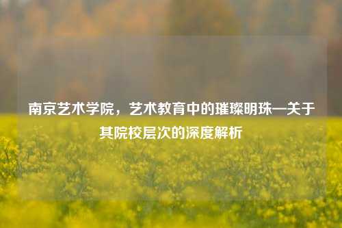 南京艺术学院，艺术教育中的璀璨明珠—关于其院校层次的深度解析