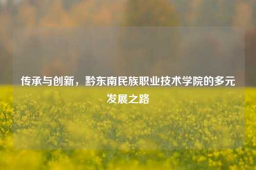 传承与创新，黔东南民族职业技术学院的多元发展之路
