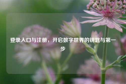 登录入口与注册，开启数字世界的钥匙与第一步