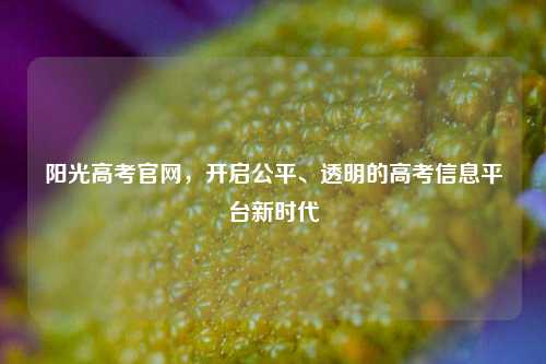 阳光高考官网，开启公平、透明的高考信息平台新时代