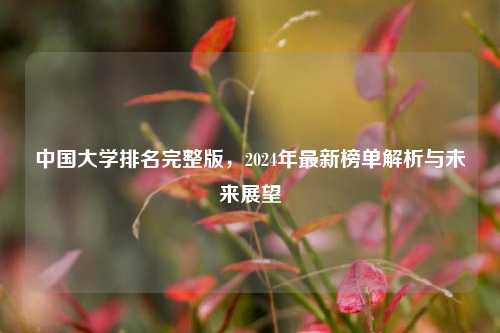 中国大学排名完整版，2024年最新榜单解析与未来展望