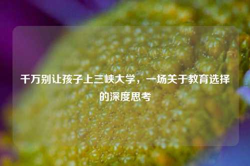 千万别让孩子上三峡大学，一场关于教育选择的深度思考