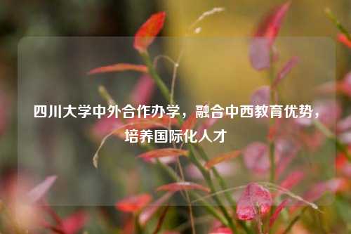 四川大学中外合作办学，融合中西教育优势，培养国际化人才