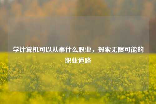 学计算机可以从事什么职业，探索无限可能的职业道路