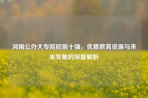 河南公办大专院校前十强，优质教育资源与未来发展的深度解析