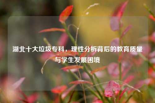 湖北十大垃圾专科，理性分析背后的教育质量与学生发展困境