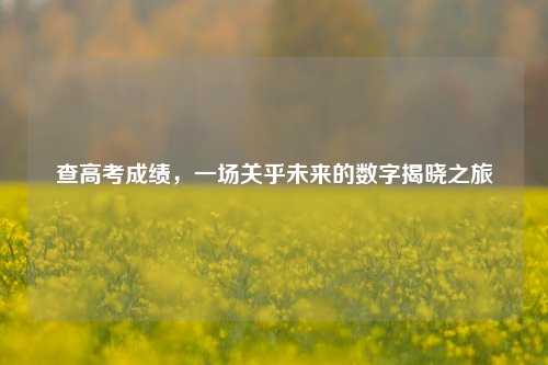 查高考成绩，一场关乎未来的数字揭晓之旅