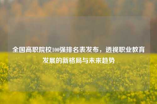 全国高职院校100强排名表发布，透视职业教育发展的新格局与未来趋势