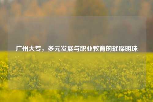 广州大专，多元发展与职业教育的璀璨明珠