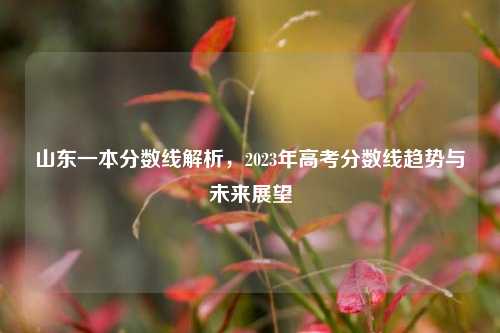 山东一本分数线解析，2023年高考分数线趋势与未来展望
