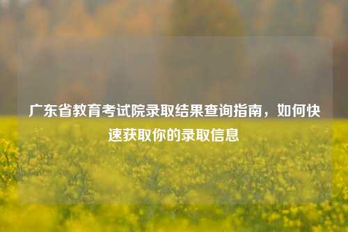 广东省教育考试院录取结果查询指南，如何快速获取你的录取信息