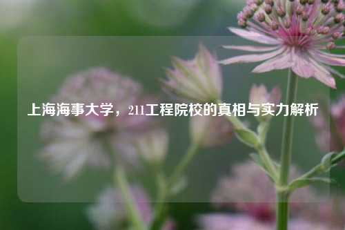 上海海事大学，211工程院校的真相与实力解析