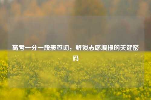 高考一分一段表查询，解锁志愿填报的关键密码