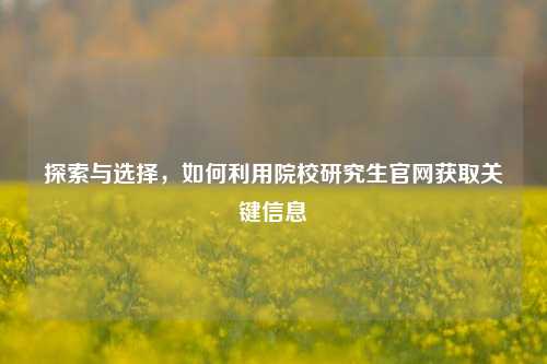 探索与选择，如何利用院校研究生官网获取关键信息