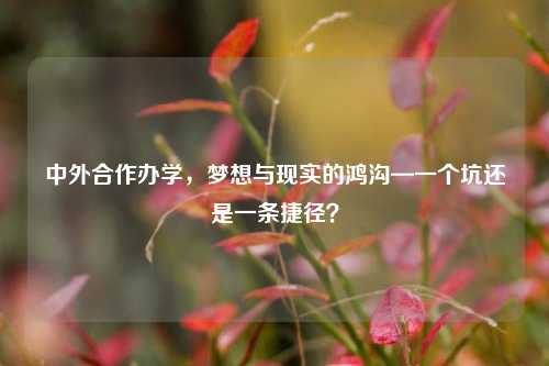 中外合作办学，梦想与现实的鸿沟—一个坑还是一条捷径？
