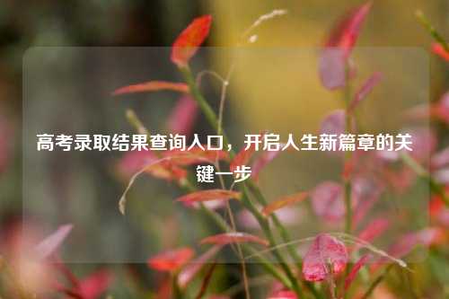 高考录取结果查询入口，开启人生新篇章的关键一步