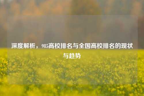 深度解析，985高校排名与全国高校排名的现状与趋势