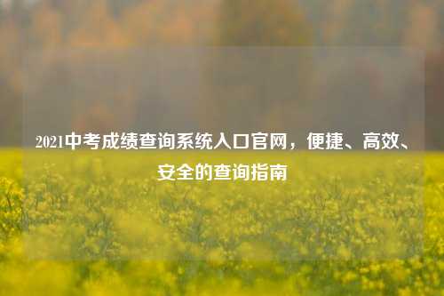 2021中考成绩查询系统入口官网，便捷、高效、安全的查询指南