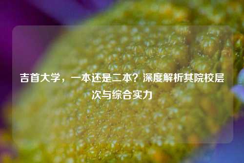 吉首大学，一本还是二本？深度解析其院校层次与综合实力