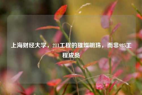 上海财经大学，211工程的璀璨明珠，而非985工程成员
