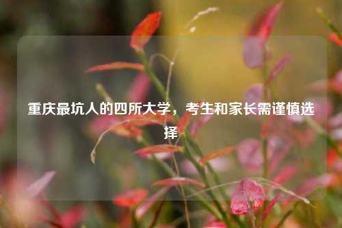 重庆最坑人的四所大学，考生和家长需谨慎选择