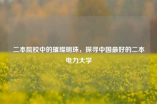 二本院校中的璀璨明珠，探寻中国最好的二本电力大学