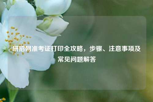 研招网准考证打印全攻略，步骤、注意事项及常见问题解答