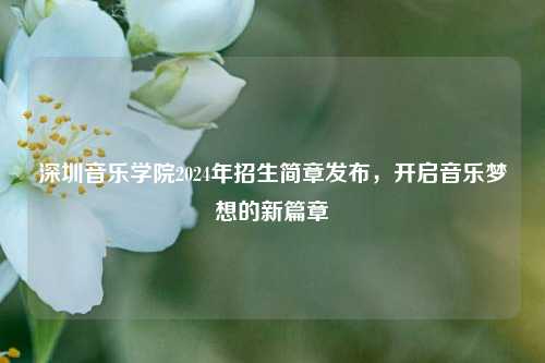 深圳音乐学院2024年招生简章发布，开启音乐梦想的新篇章