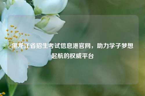 黑龙江省招生考试信息港官网，助力学子梦想起航的权威平台