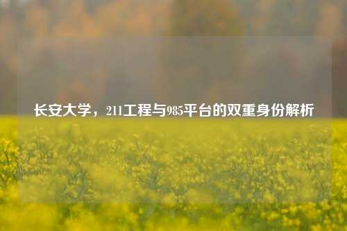 长安大学，211工程与985平台的双重身份解析
