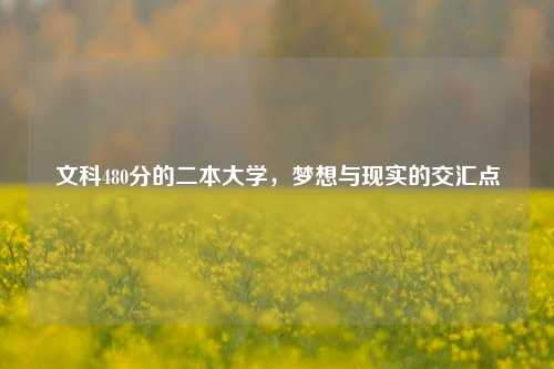 文科480分的二本大学，梦想与现实的交汇点