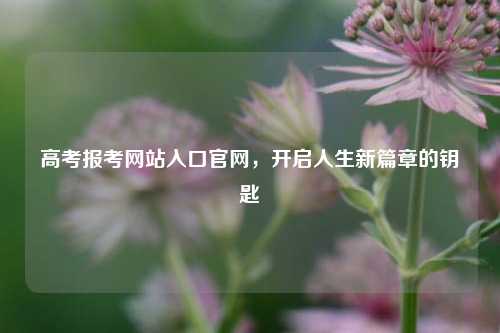 高考报考网站入口官网，开启人生新篇章的钥匙